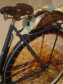 Sala de Exposição<br/>
Sala 3 - O ambiente remete ao lazer: os passeios de bicicleta, as visitas sociais e as caminhadas ao sol.<br/>
Local: Museu Alfredo Andersen - Rua Mateus Leme, 336 - Centro - Horário: 2ºa 6º feira: 9h00 às 18h00 - Sábados e Domingos das 10h00 às 16h00