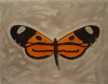 Técnica mista e própria / 0,40 x 0,50 cm / 2004
<br/>
Local: Museu Alfredo Andersen - Rua Mateus Leme, 336 - Centro - Horário: 2ºa 6º feira: 9h00 às 18h00 - Sábados e Domingos das 10h00 às 16h00