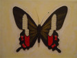 Técnica mista e própria / 0,40 x 0,50 cm / 2004
<br/>
Local: Museu Alfredo Andersen - Rua Mateus Leme, 336 - Centro - Horário: 2ºa 6º feira: 9h00 às 18h00 - Sábados e Domingos das 10h00 às 16h00