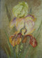 Óleo s/ veludo – 36 x 23 cm – 1934.
<br/>
Sala 4: professor Andersen - força de vontade/natural curiosidade
O aprendizado de 1933 a 1935 com o professor que via na aluna um grande talento. Os materiais presenteados pelo professor, os retoques nas obras, a postura ereta frente ao cavalete. O estímulo necessário para dar continuidade à arte-educação.