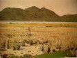 Paisagem Litorânea (Waldemar Curt Freyesleben)