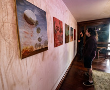 Homem observando obras da mostra Paisagens Distópicas