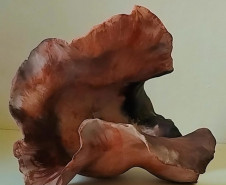 Alunos da Academia Andersen são selecionados para o Salão de Artes Visuais. Dança - Juliane Fausto