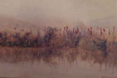 Paisagem com lirios
Acervo Museu Alfredo Andersen