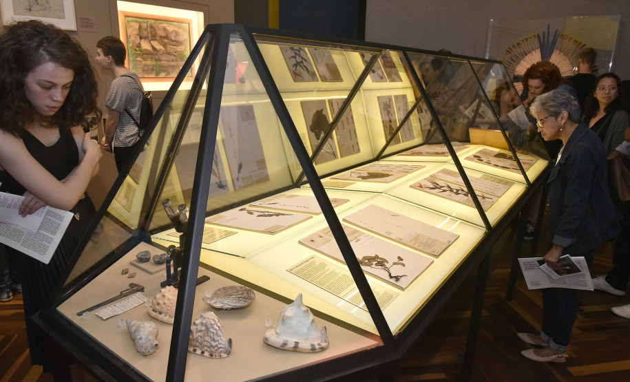 Exposição "Ephemera/Perpétua" no Museu Paranaense (MUPA).